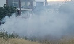 Boş arazide çıkan yangın bahçeye sıçramadan söndürüldü