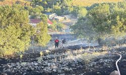Elazığ'da arazi yangını