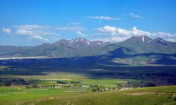 İşte Erzurum'un tarım karnesi