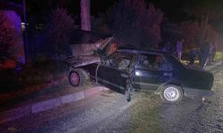 Köpeğe çarpmamak için ağaca çarpan sürücü hayatını kaybettti