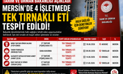 Mersin'de 4 İşletmede Tek Tırnaklı Eti Tespit Edildi
