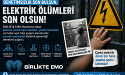 BİRLİKTE EMO Platformu'ndan Hayati Çağrı : "Denetimsizlik Son Bulsun, Elektrik Ölümleri Son Olsun"