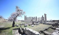Mersin'de 2 bin 300 yıllık antik kent Arkeoköy ile canlanıyor
