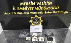 Mersin'de sokak satıcılarına operasyon: 2 tutuklama
