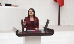 CHP'li Gülcan Kış: "Türkiye'de Geçimin Adı Kredi Kartı"