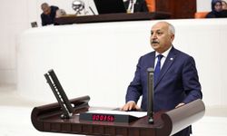 Dinçer'den Esnafa Sicil Affı ve Faizsiz Yapılandırma İçin Kanun Teklifi