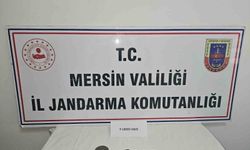Tarihi eser kaçakçılığı ile ilgili bir şahıs yakalandı