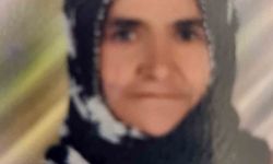 Tarsus'ta otomobilin çarptığı yaşlı kadın hayatını kaybetti
