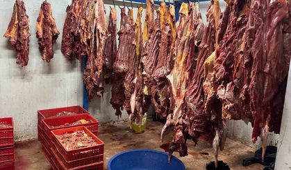 Adana’da 3 ton bozulmuş at eti ele geçirildi