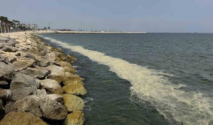 Mersin Körfezi’nde ’alg patlaması ve müsilaj kalıntıları’