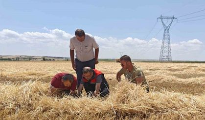 Uşak’ta tarım ekiplerinden biçerdöverlere sıkı denetim