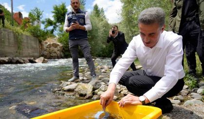 Gümüşhane’de 10 bin kırmızı benekli alabalık doğaya salındı