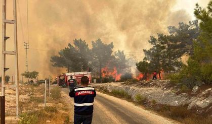 Mersin’deki orman yangınında jandarma ekipleri aktif rol aldı