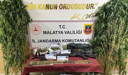 jandarmadan uyuşturucu operasyonu: 1 gözaltı