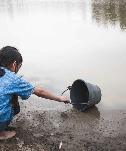 “Doğa Çöküyor: Orman Kaybı ve Su Krizi Derinleşiyor”