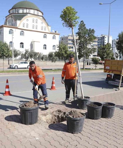 Mersin'de ağaçlandırma seferberliği başladı