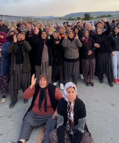 Mersin'de ormanlık alana ekili narenciye bahçelerinin kaldırılması kararına tepki