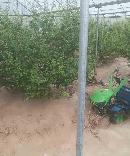 Mersin'de sağanak sele yol açtı: Yol çöktü, seralar zarar gördü