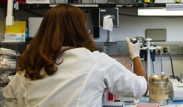  AstraZeneca Kovid-19'a karşı denemelerine başladı