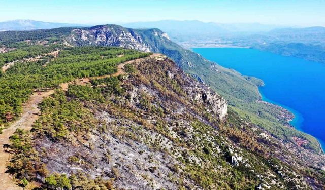 Gökova’da alevlerin önünü kesmek için 6,5 kilometre yangın şeridi açıldı