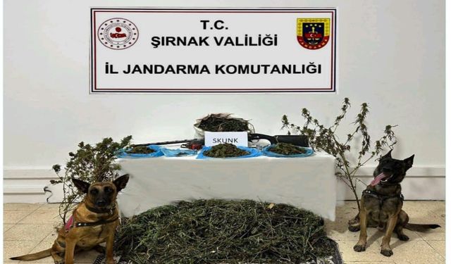 Şırnak’ta Jandarma ekiplerinden kaçakçılık operasyonu: 2 tutuklama