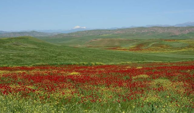 Garzan Ovası büyük ova ilan edildi