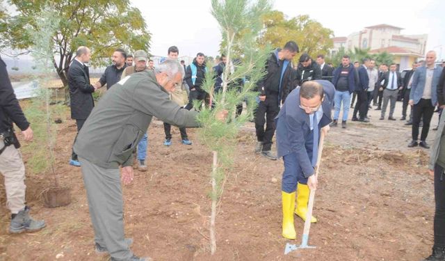 Milli Ağaçlandırma Günü’nde Cizre’de fidanlar toprakla buluştu