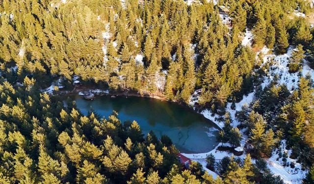 Zigana’nın beyaz cenneti Limni Gölü 150 bin turisti ağırladı