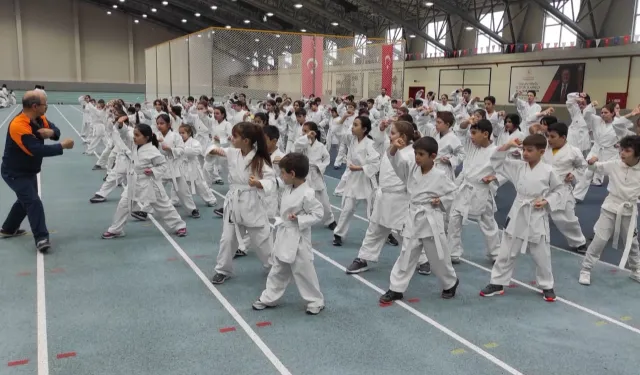 Bursa Osmangazi’de karate eğitim semineri