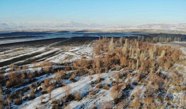 Ağrı’da kış manzarası göz kamaştırdı