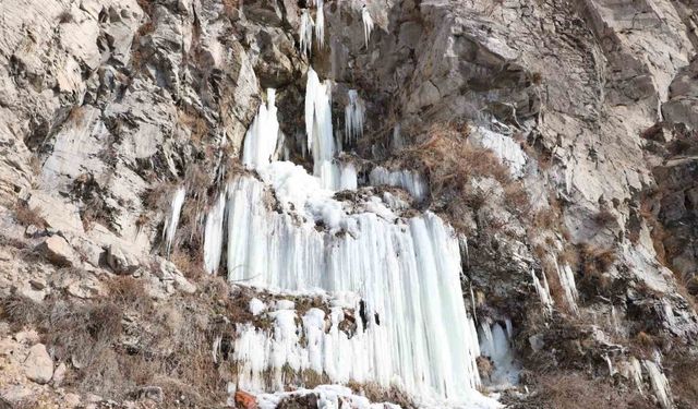 Ardahan’da hava buz kesti, şelale dondu