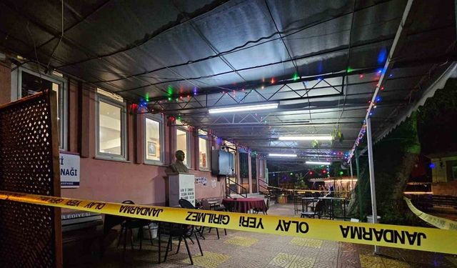 Meclis üyesi adayını öldüren şahıs tutuklandı