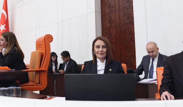 Korsan Savar Vekil : Havva Sibel Söylemez !