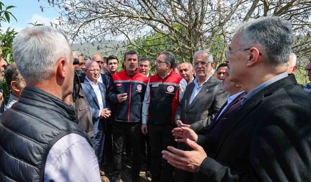 Ak Parti İl Başkanı Davut Gürkan, don mağduru çiftçinin yanında