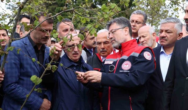 Bakan Yumaklı: "Zirai don nedeniyle zarar gören ağaçlarda kulaktan dolma bilgilerle budama yapılmamalı"