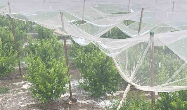 Mersin’de dolu ürünlere zarar verdi