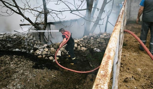 Domaniç’te çıkan yangında 100 tavuk telef oldu