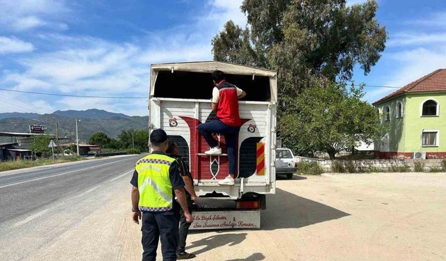 Eksik evrakla canlı hayvan taşıyan 2 kişi cezadan kaçamadı
