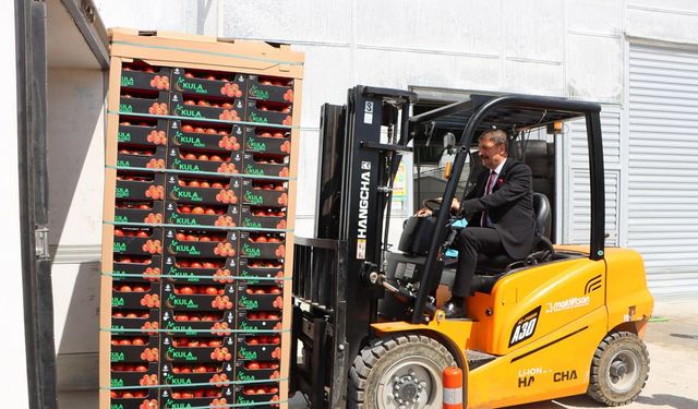 Kula’nın jeotermal serasından Avrupa’ya 500 ton domates ihracatı