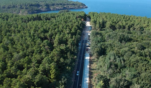 Sinop’ta ormanlara girişler 31 Ekim’e kadar yasaklandı