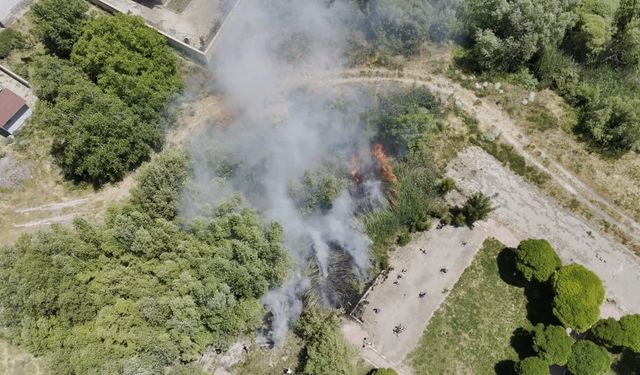 Adilcevaz’da Van Gölü sahilinde yangın paniği: Kafe yakınında sazlık alan yangını