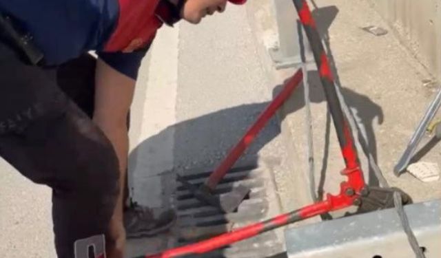 Alt geçitteki refüj demirinin içinde sıkışan yavru kedi kurtarıldı