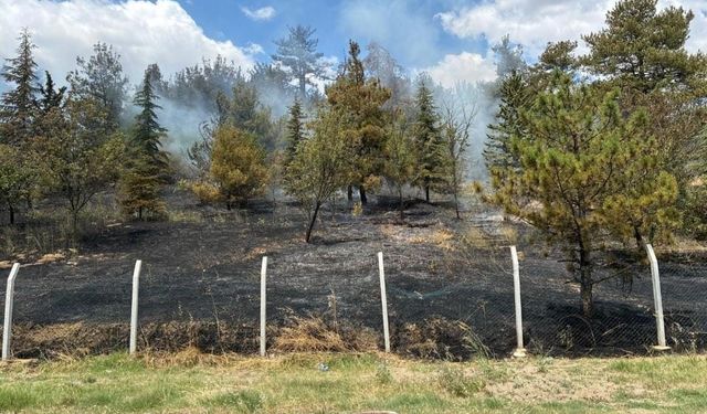 Babaeski’de çamlık alanda çıkan yangın söndürüldü