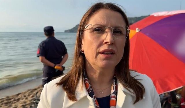 Bartın Valisi Arslan: "İlk tespitlerimize göre denize yakıt bırakılması söz konusu, kimin sebep olduğunu belirlemek için çalışmalar sürüyor"