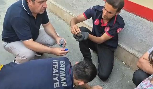 Batman’da ebabil kuşları için seferberlik