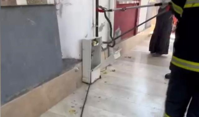 Doğal gaz kutusuna giren yılan doğal ortamına bırakıldı