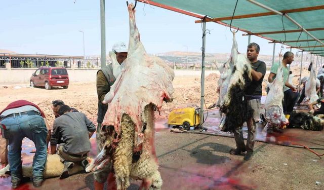 Elazığ’da bayramın üçüncü günü de kurban kesimi devam etti