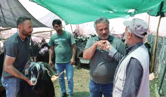 Elazığ’da ’kol kıran’ pazarlıklar sürüyor