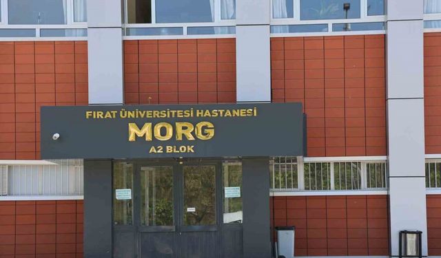 Elazığ’da uçurumdan düşen genç hayatını kaybetti