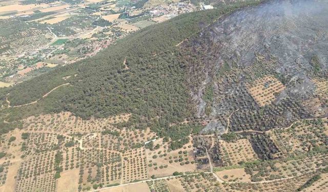 Foça’da ormanlık alanda çıkan yangın kontrol altında